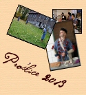 Pro�lice 2013