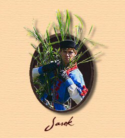 Jarek
