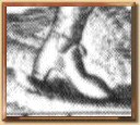 Buty postaci z ryciny z ksi��ki Abrahama de Bruyn pt. Habits de diverses nations z roku 1581.