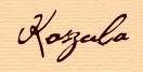 Koszula
